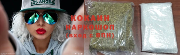 apvp Горняк