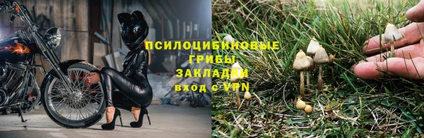 марихуана Горнозаводск