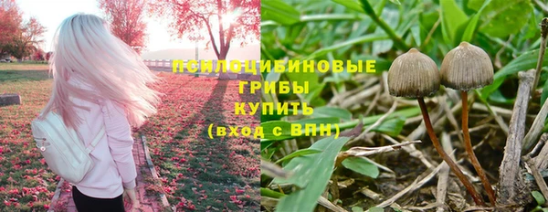 apvp Горняк