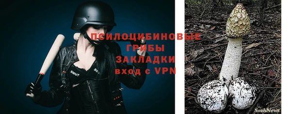 apvp Горняк
