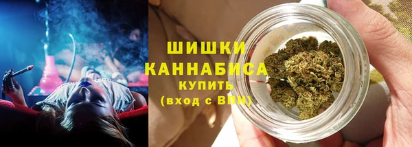 apvp Горняк