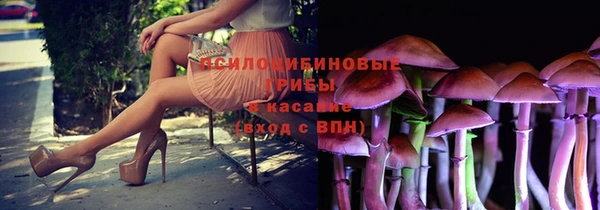 каннабис Горно-Алтайск